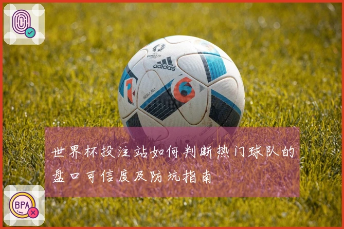世界杯投注站如何判断热门球队的盘口可信度及防坑指南