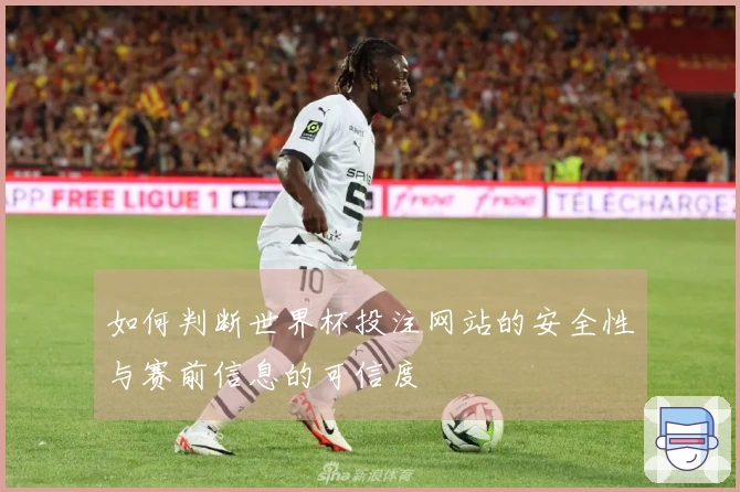 如何判断世界杯投注网站的安全性与赛前信息的可信度