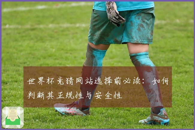 世界杯竞猜网站选择前必读：如何判断其正规性与安全性