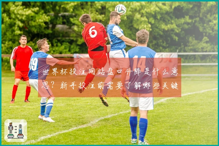 世界杯投注网站盘口升降是什么意思？新手投注前需要了解哪些关键因素？